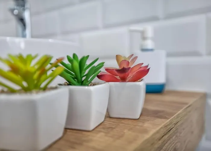 Al Alba * 科爾多瓦